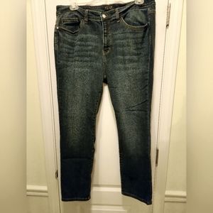 Judy Blue Plus size jeans
